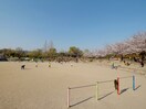 野畑南公園(公園)まで733m アンプル－ルクレ－ル