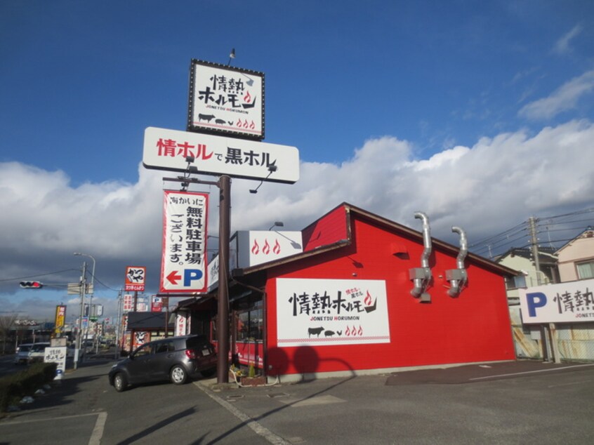 情熱ホルモン(その他飲食（ファミレスなど）)まで320m ハイツ福田