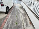 駐車場 北五葉4丁目　貸戸建