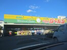 ジャパン豊中曽根店(ドラッグストア)まで260m ＫＡＳＡＭＩＲＡ