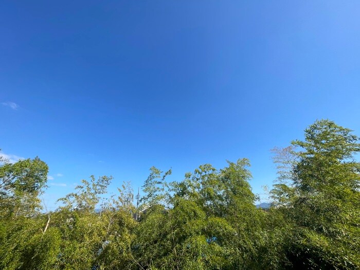 室内からの展望 ハイツオカダ