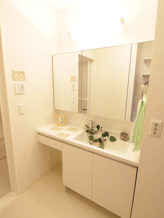 洗面 カーサルピナス