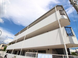TM持子