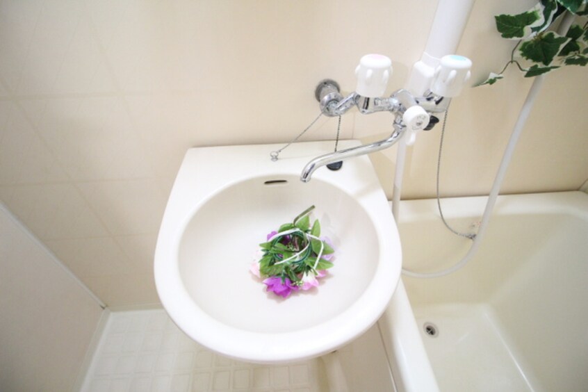 洗面 エクセレントハイツ