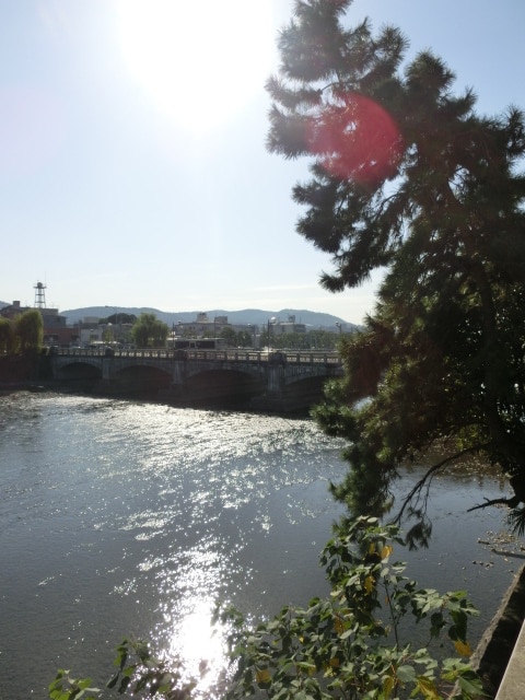 室内からの展望 ベレヴュー鴨川