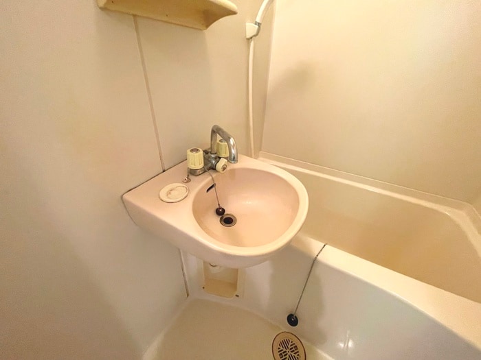 洗面 ロイヤルカ－サ阿倍野