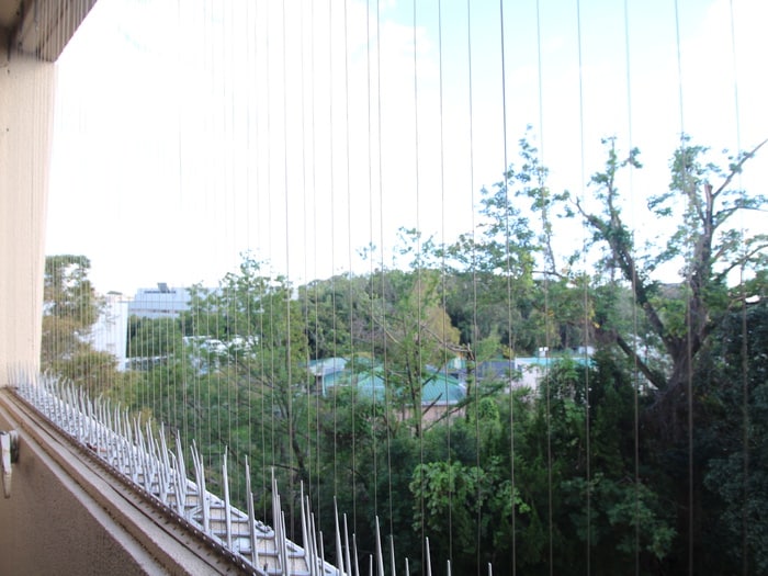 室内からの展望 リビスタ千里