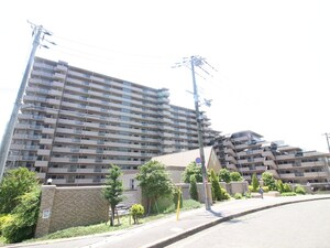 ｼﾞｵ緑地公園ｼﾃｨﾌｫﾚｽﾄ(1010)
