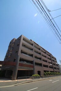 ステラ中百舌鳥