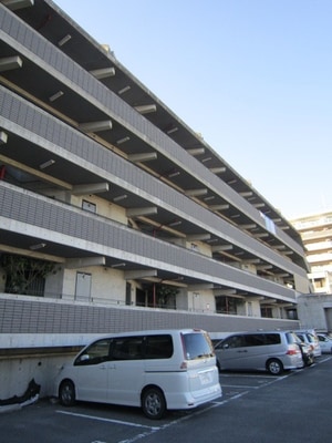 オオシマフラッツインパル