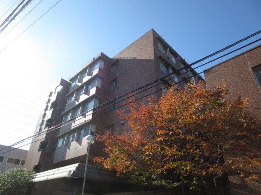 河内総合病院(病院)まで550m SA-COURT