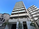 スプランディッドキャトルの外観