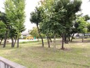 公園(公園)まで800m 萬野ハイツ