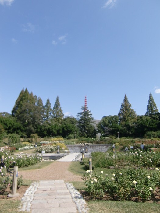 うつぼ公園(公園)まで85m コンフォリア京町堀
