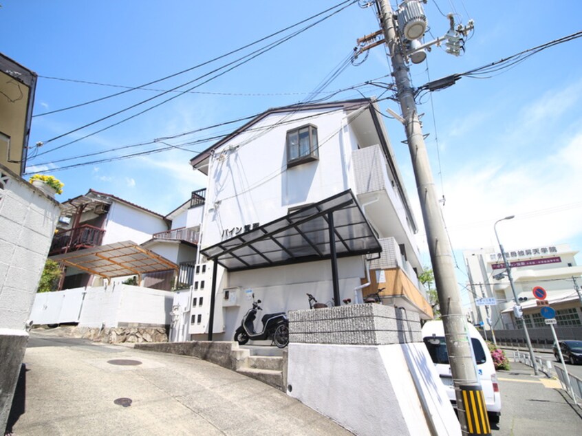 その他 パイン箕面