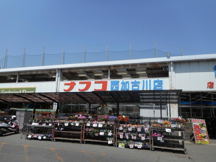 ホームプラザナフコ 西加古川店(電気量販店/ホームセンター)まで450m リバーサイドMIDORI