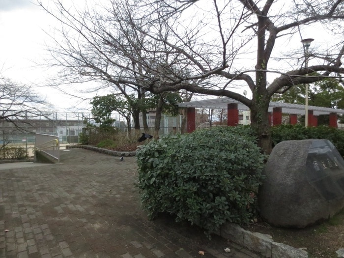 福住公園(公園)まで600m カーサアンリコ