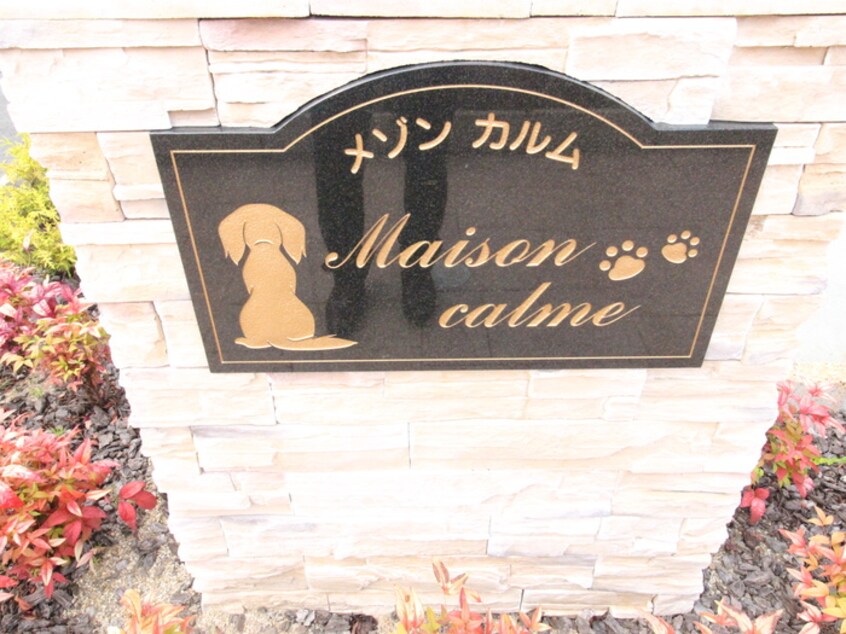 外観写真 メゾンカルム