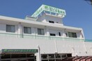 西江井島病院(病院)まで400m オ－シャンビュ－江井ヶ島