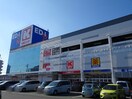 エディオン高槻宮田店(電気量販店/ホームセンター)まで440m マ・メゾンＹＣ