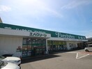 エバーグリーン貝塚店(ドラッグストア)まで550m ＳＳビル