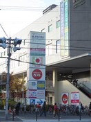 イズミヤ(スーパー)まで250m ＬＩＣＥ　ＦＩＥＬＤ上町台東