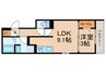 クラシスト諏訪 1LDKの間取り