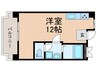 ＴＡＴロイヤルハイツ 1Rの間取り