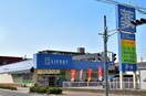 ライフォート(ドラッグストア)まで20m レグルス新明