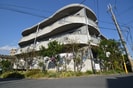 エクセル五月の外観