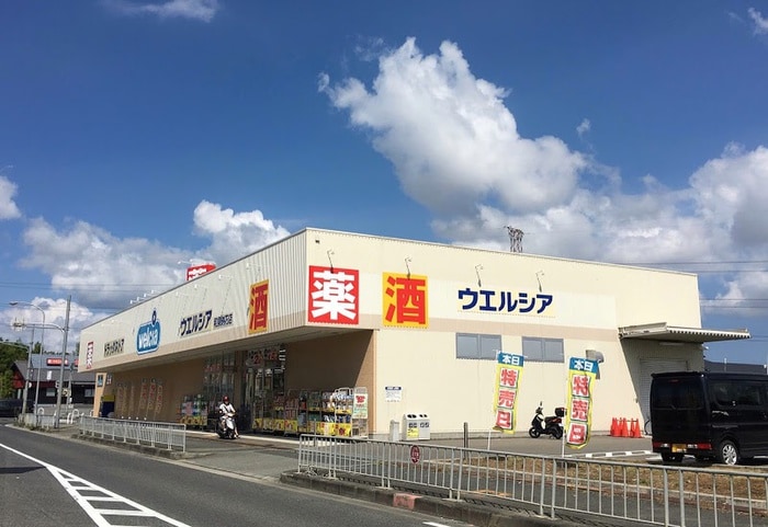 ウエルシア(ドラッグストア)まで996m 小林マンション