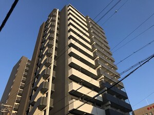 ﾚｼﾞｭｰﾙｱｯｼｭPUREMIUMTWIN-1(708)