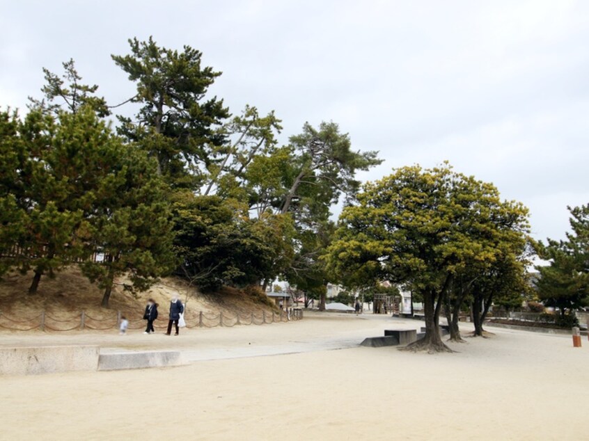 大塚公園(公園)まで81m グラース桜塚
