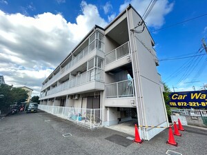 バイオレット輝