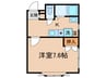 ジュネス丸岡 1Kの間取り