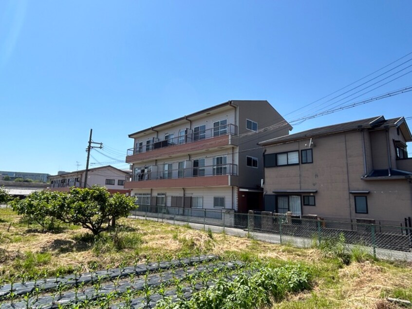 外観写真 法橋マンション