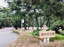 浜の宮公園(公園)まで568m パルティール