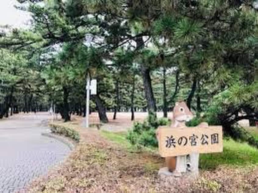 浜の宮公園(公園)まで568m パルティール