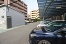 駐車場 フル・ブルーム