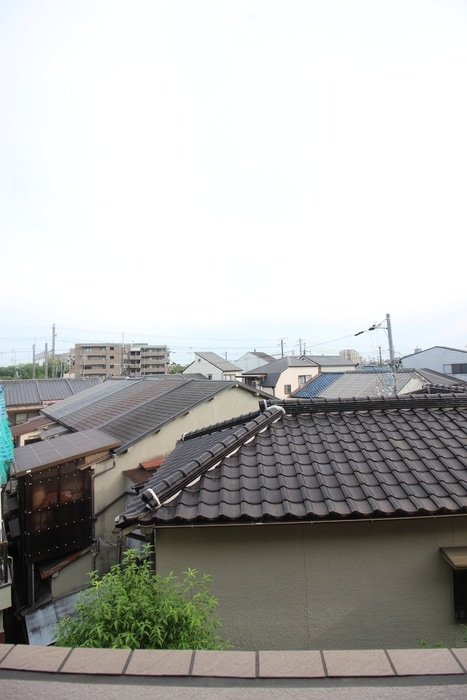 室内からの展望 フル・ブルーム