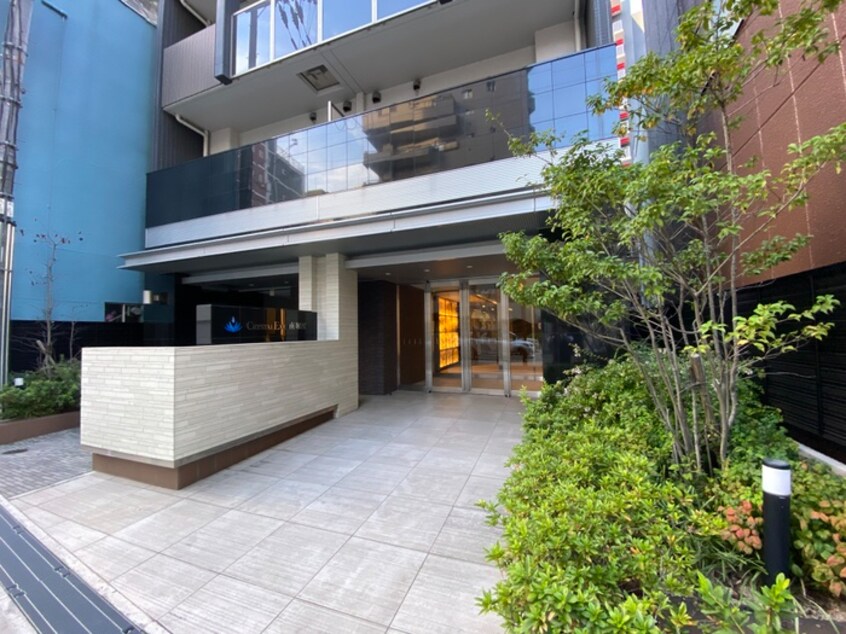 エントランス部分 クリスタルエグゼ南堀江(802)