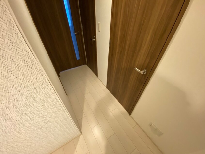 廊下 クリスタルエグゼ南堀江(802)