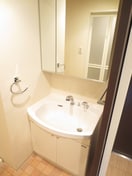 洗面 カスタリア京都西大路