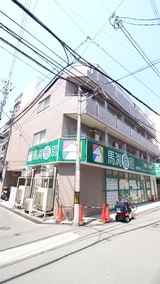 グレースサカエ