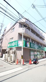 グレースサカエ