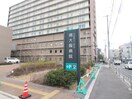 南大阪病院(病院)まで700m パセオ・ＲＦ