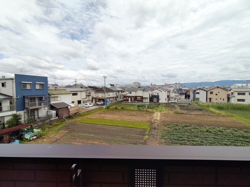 室内からの展望 ﾌﾟﾗｰｼﾞｭsakigake
