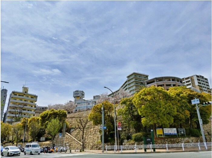 花隈公園(公園)まで160m 仮）花隈町ＰＪ