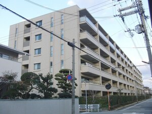 ｼﾞｪｲｸﾞﾗﾝ甲子園口天道町（303）