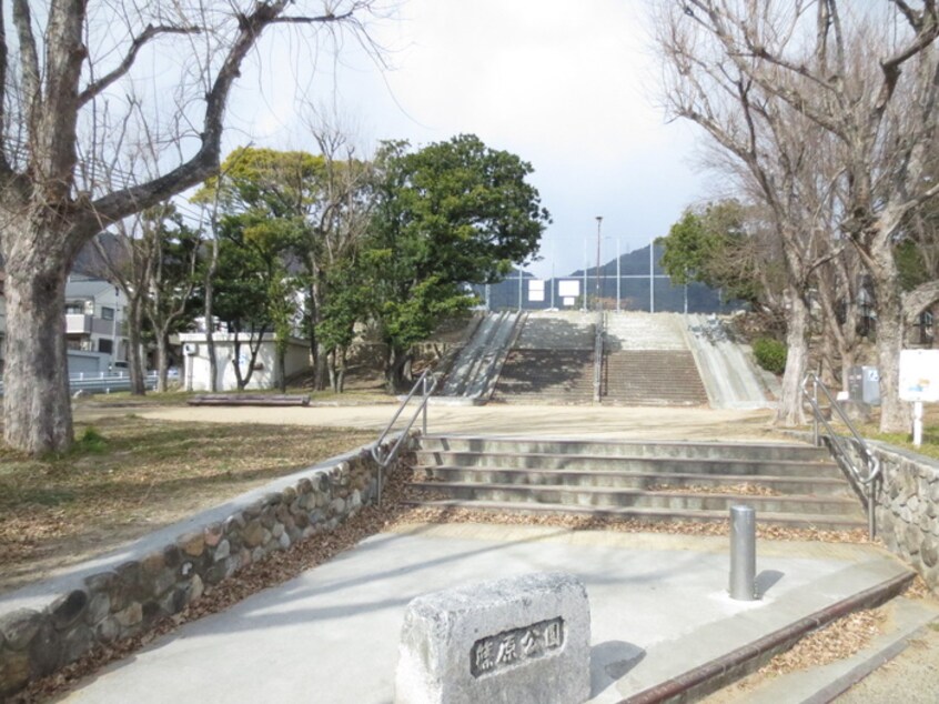 篠原公園(公園)まで595m 長谷川ビル